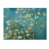 Trademark Fine Art Vincent van Gogh 'Almond Branches In Bloom 1890' Canvas Art, 24x32 BL01313-C2432GG